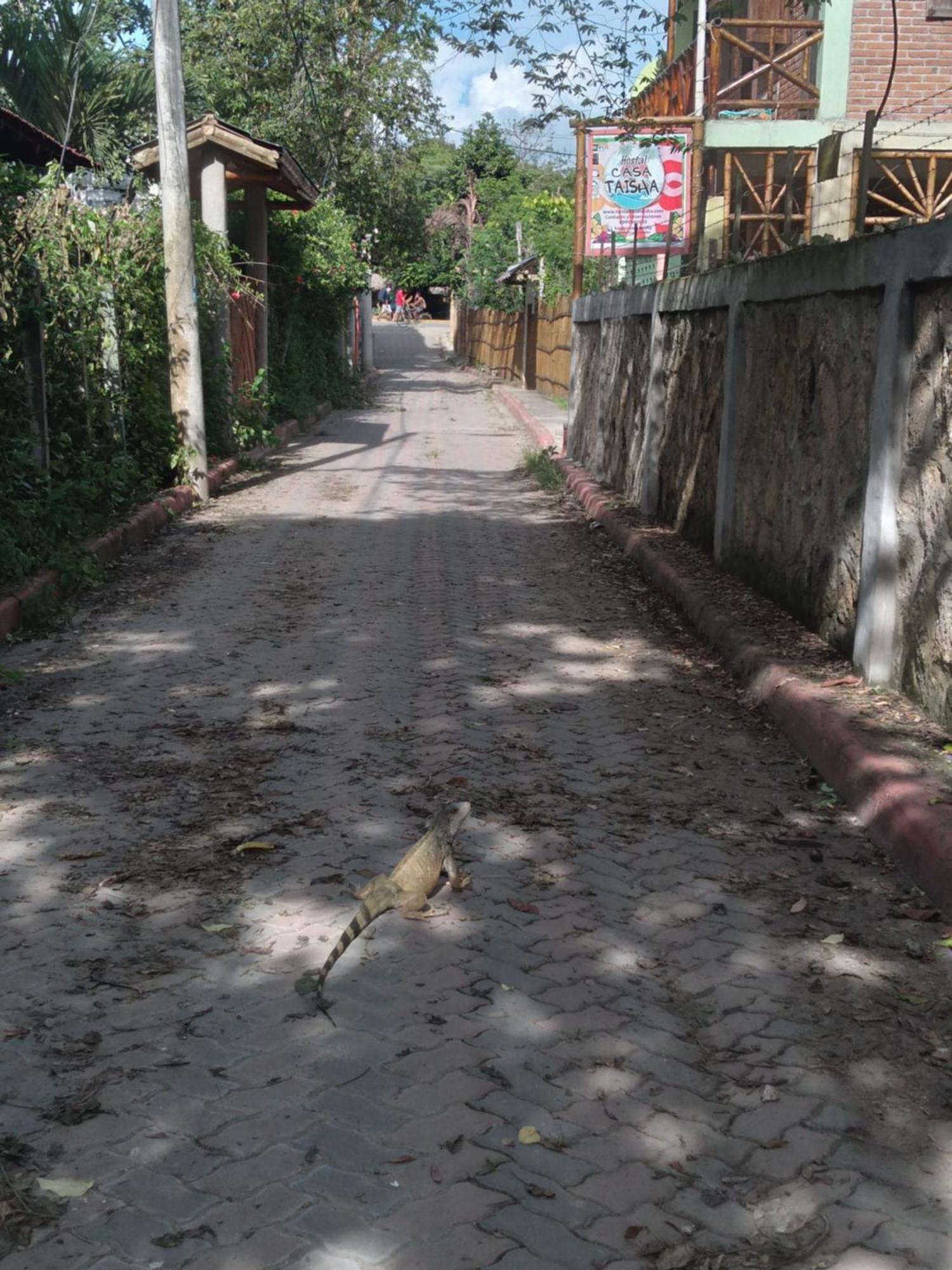 Hostal Casa Taisha Montañita المظهر الخارجي الصورة